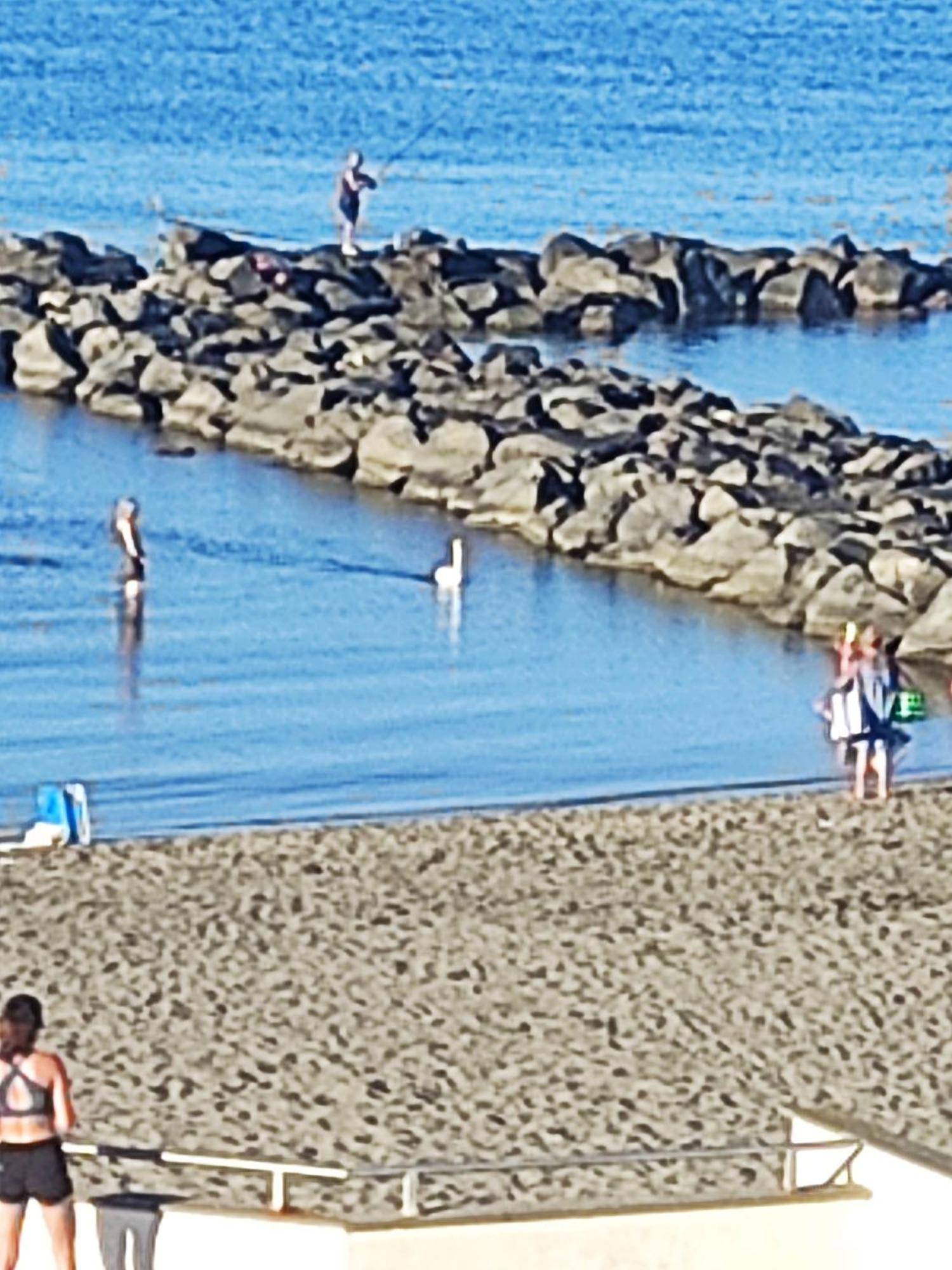 Apartment With Seaview Casa Davidoff Lido di Ostia Bagian luar foto